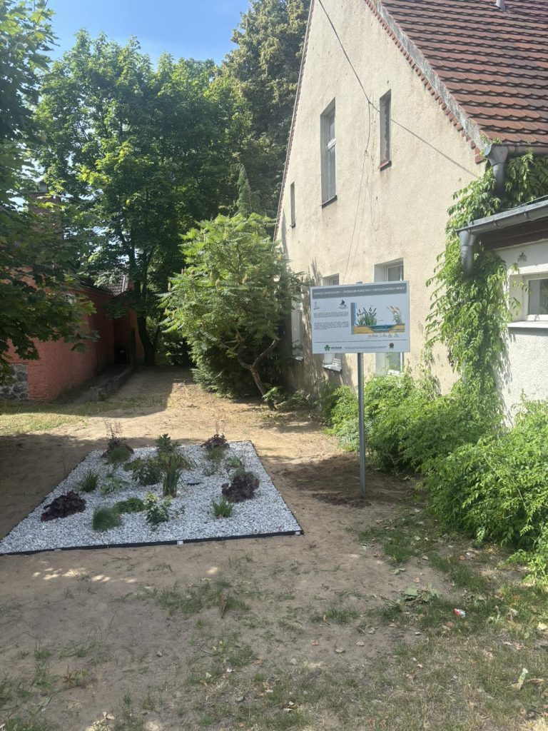 Ogród deszczowy – realizacja zakończona !